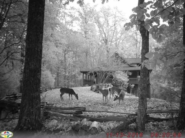 16 Enchanting Circle, Morganton, GA 30560