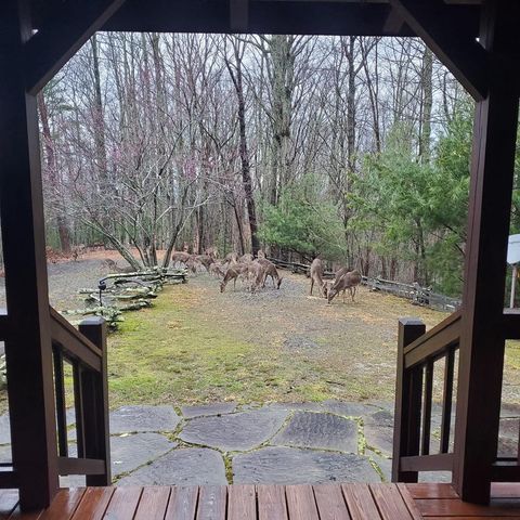 16 Enchanting Circle, Morganton, GA 30560