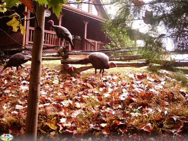 16 Enchanting Circle, Morganton, GA 30560