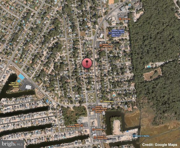 222 FALCON DR, Little Egg Harbor Twp, NJ 08087