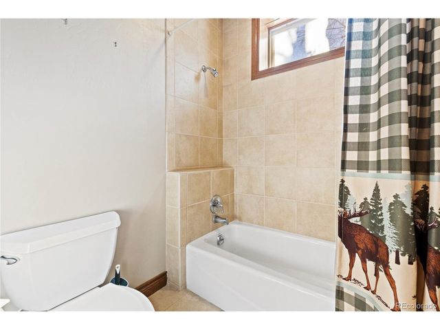 270 Black Bear Dr, Gypsum, CO 81637