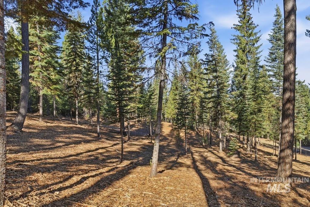 315 Clear Creek Road, Cascade, ID 83611 photo 3