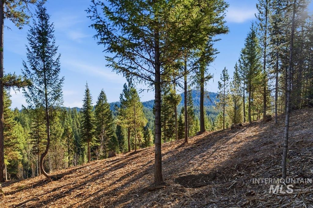 315 Clear Creek Road, Cascade, ID 83611 photo 4