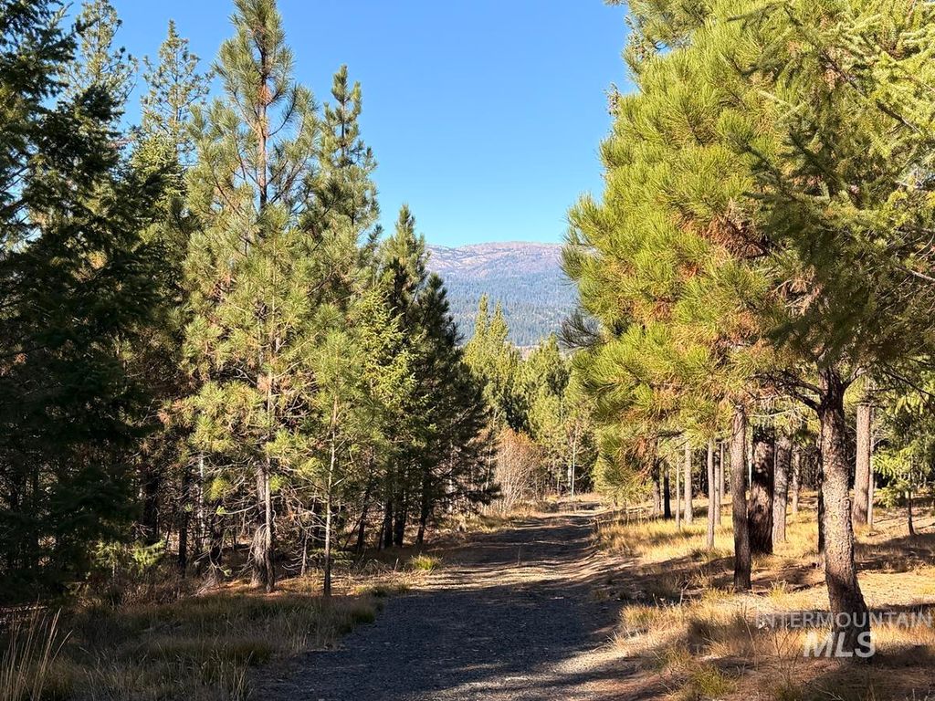 315 Clear Creek Road, Cascade, ID 83611 photo 5