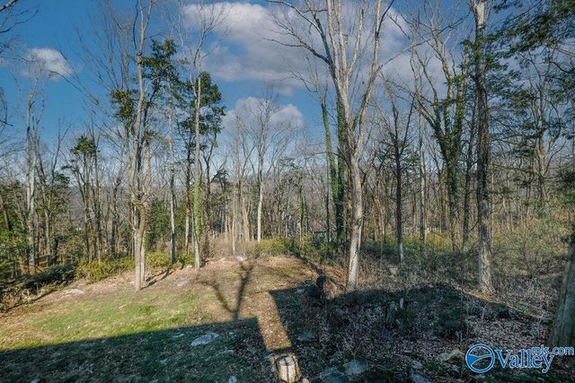 3103 SE Holly Hill Road SE, Huntsville, AL 35802