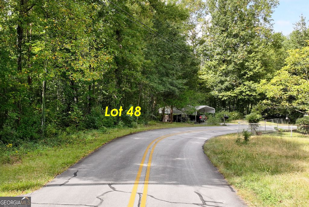 LOT 48 & 50 Barron Drive, Clarkesville, GA 30523 — photo 2