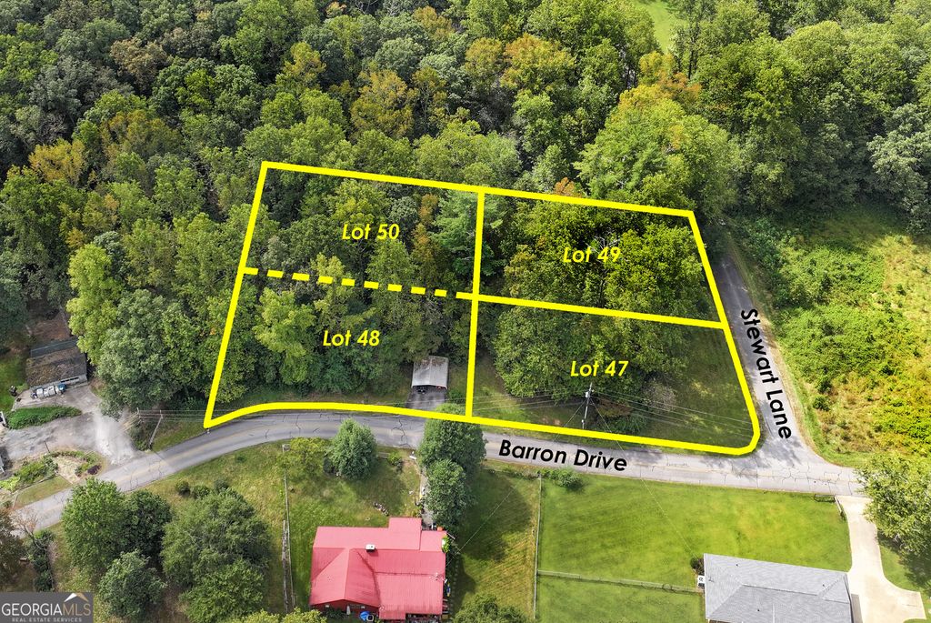 LOT 48 & 50 Barron Drive, Clarkesville, GA 30523 — photo 3