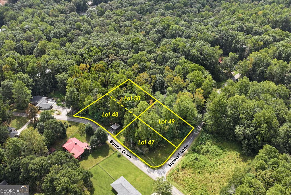 LOT 48 & 50 Barron Drive, Clarkesville, GA 30523 — photo 4