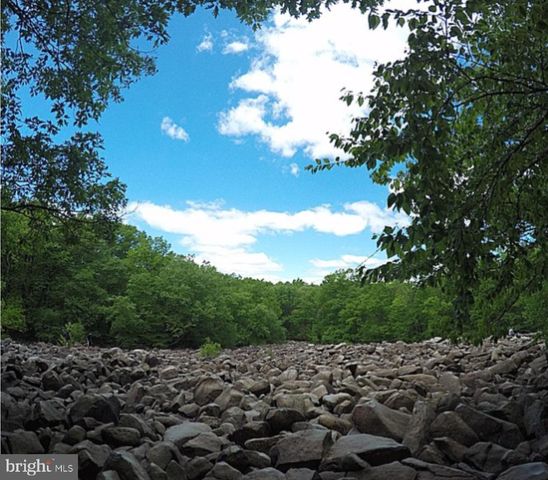 1863 RINGING ROCKS RD, Upper Black Eddy, PA 18972