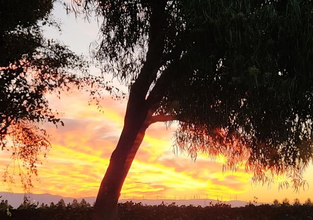 921 Kennedy Pl, Tracy, CA 95377