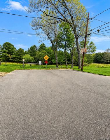 58 Iroquois Trail, Ridge, NY 11961