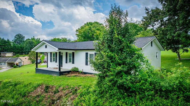 307 Dover Avenue, Mount Carmel, TN 37645