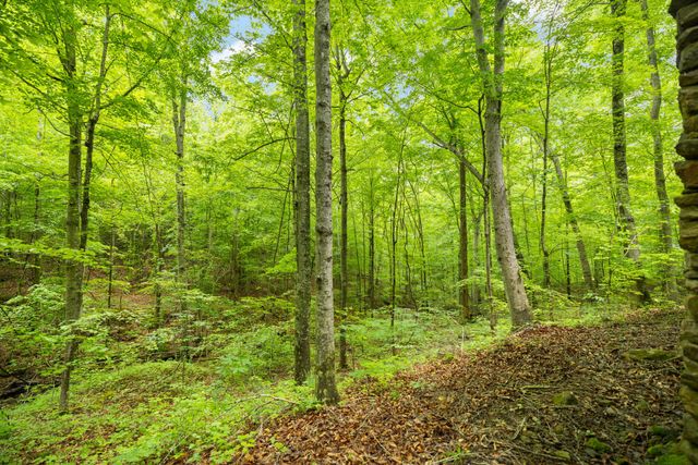 395 Stoneybrook Road, Burnside, KY 42519