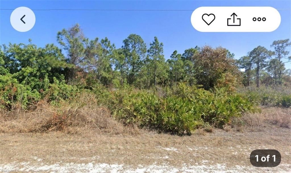 212 Moore AVE, LEHIGH ACRES, FL 33936 — photo 2
