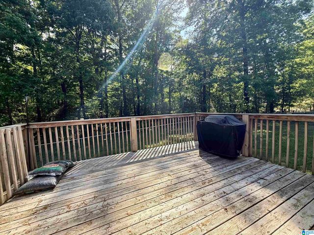 148 KIOWA ROAD, Remlap, AL 35133