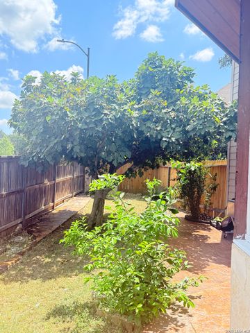 21750 Thunder Basin, San Antonio, TX 78261