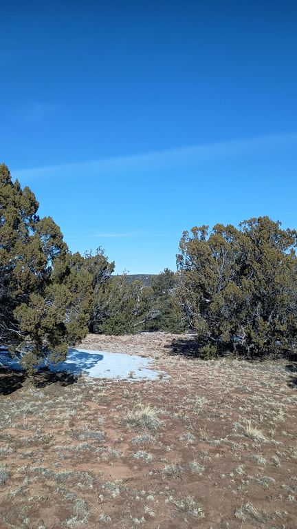 Image 1 of property listing at Deer Run Trail, Pie Town, NM 87827