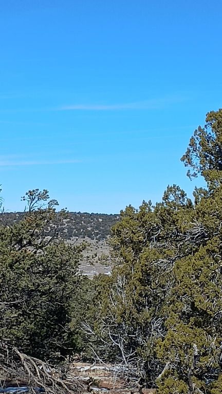 Image 2 of property listing at Deer Run Trail, Pie Town, NM 87827