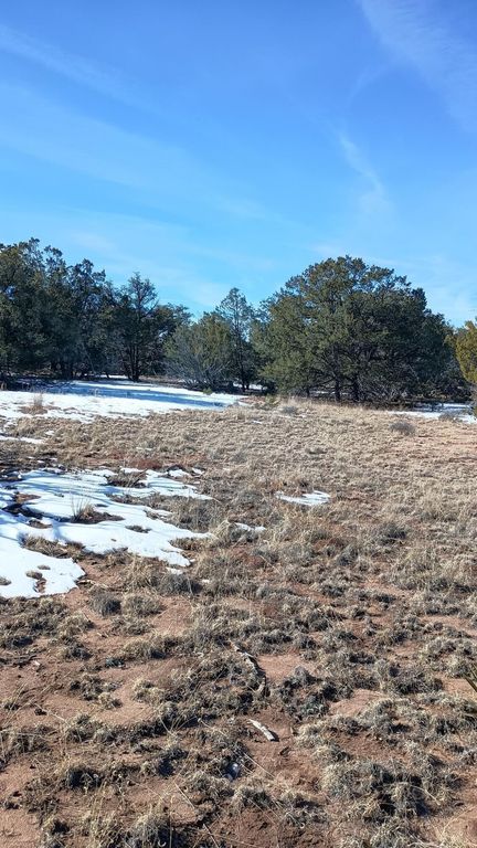 Image 4 of property listing at Deer Run Trail, Pie Town, NM 87827