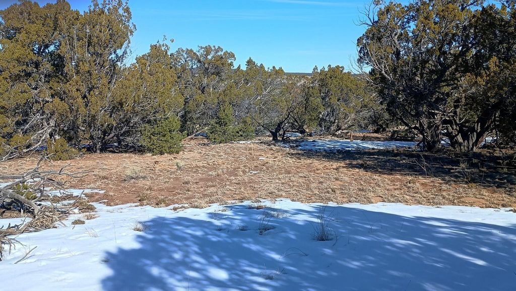 Image 5 of property listing at Deer Run Trail, Pie Town, NM 87827