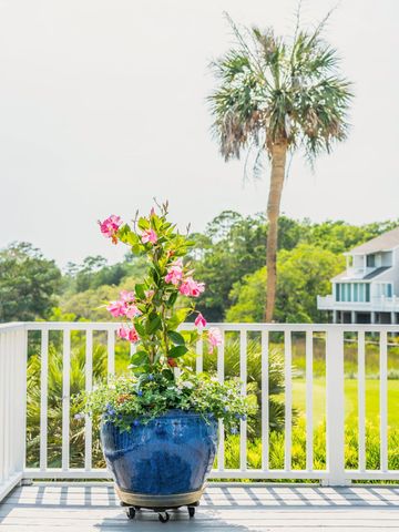 6199 Back Bay Drive, Isle Of Palms, SC 29451