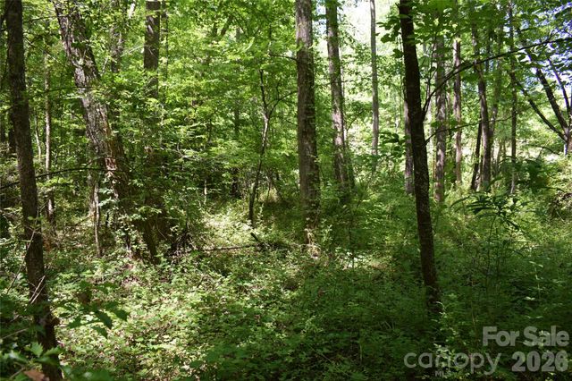 0 Floyd Blackwell Road, Tryon, NC 28722