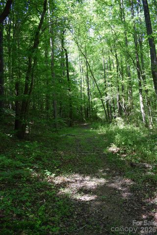 0 Floyd Blackwell Road, Tryon, NC 28722