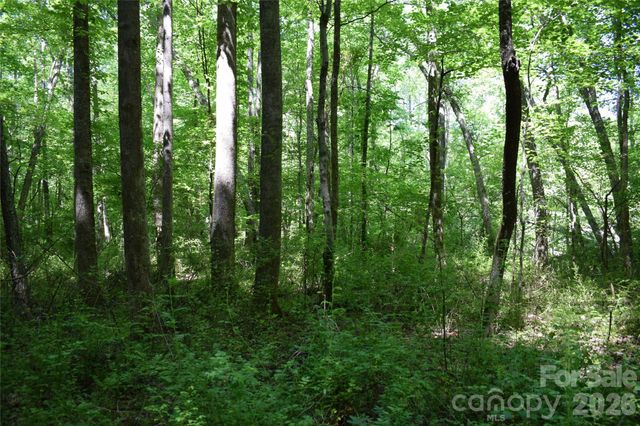 0 Floyd Blackwell Road, Tryon, NC 28722