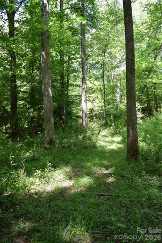 0 Floyd Blackwell Road, Tryon, NC 28722
