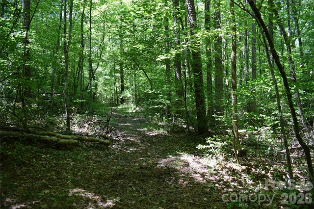 0 Floyd Blackwell Road, Tryon, NC 28722