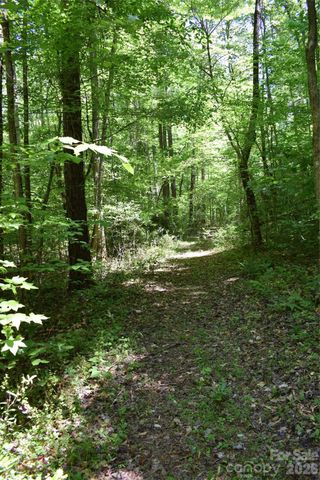 0 Floyd Blackwell Road, Tryon, NC 28722