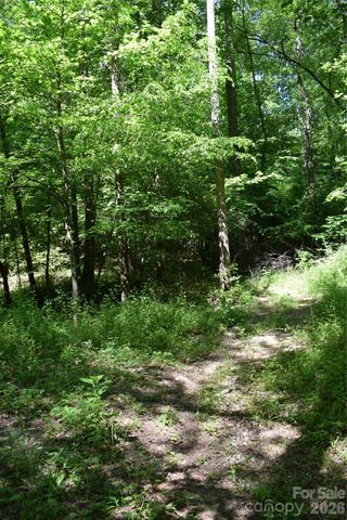 0 Floyd Blackwell Road, Tryon, NC 28722
