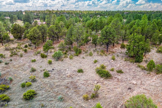 2793 SKYHAWK Drive 84PER, Overgaard, AZ 85933