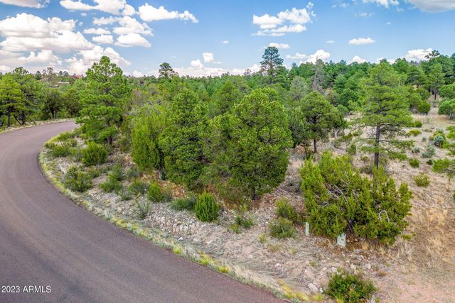2793 SKYHAWK Drive 84PER, Overgaard, AZ 85933