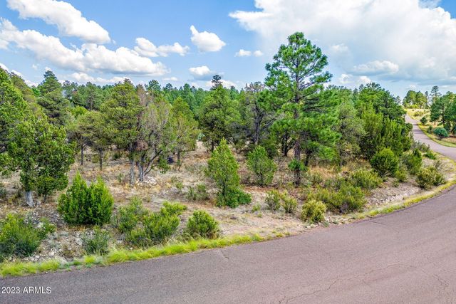 2793 SKYHAWK Drive 84PER, Overgaard, AZ 85933