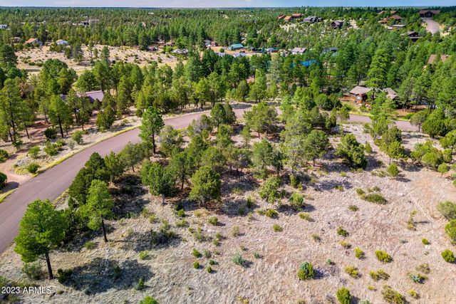 2793 SKYHAWK Drive 84PER, Overgaard, AZ 85933