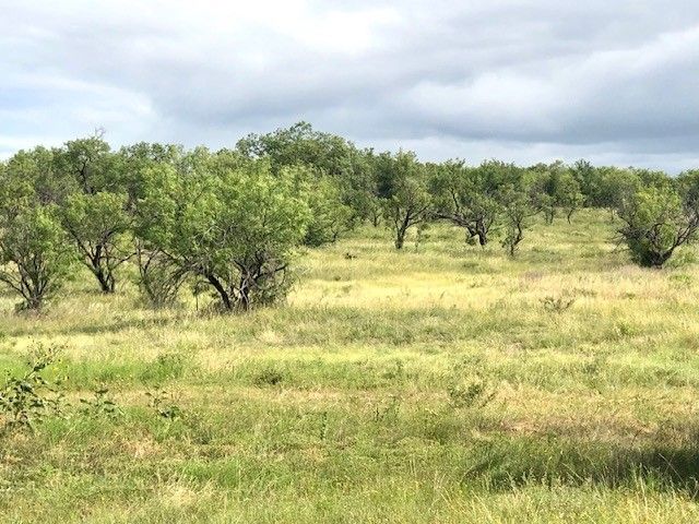 174 FM 601, Albany, TX 76430