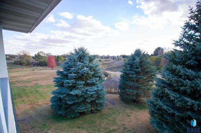 47869 Chateau Ct Court, Harrisburg, SD 57032