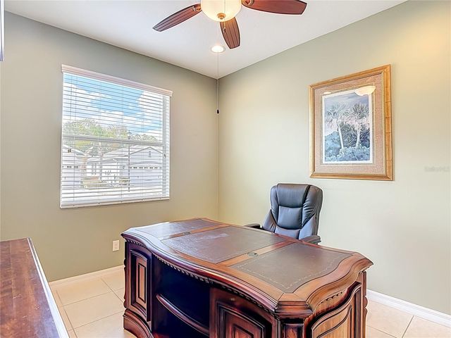 29109 ENNISCRONE DRIVE, San Antonio, FL 33576