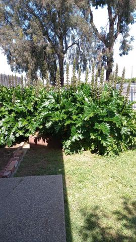 1625 Catalpa St, Olivehurst, CA 95961