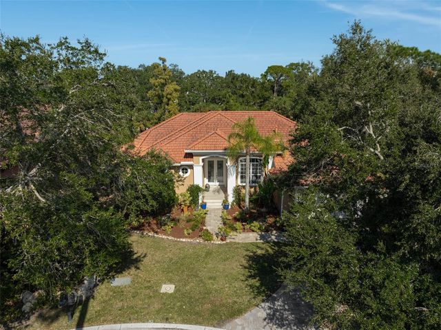 919 TRANQUILITY CIRCLE, Osprey, FL 34229