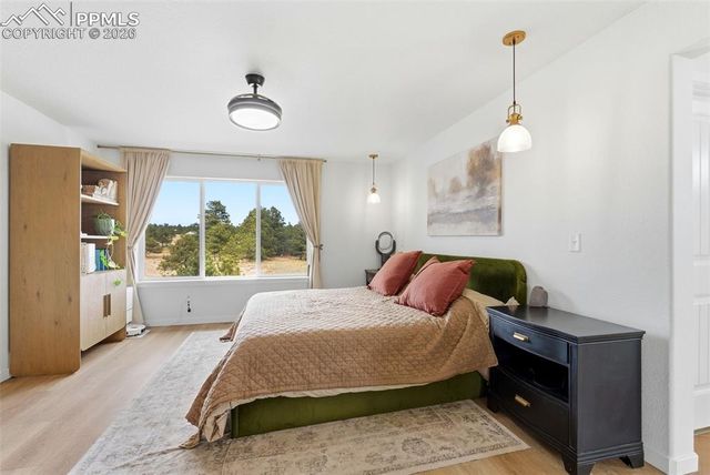 8608 Falcon Nest Court, Colorado Springs, CO 80908