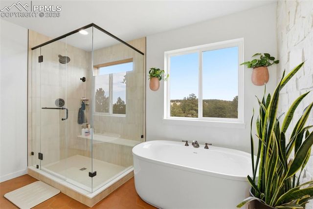 8608 Falcon Nest Court, Colorado Springs, CO 80908