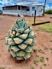 6910 N BLACKBERRY Place, Mcneal, AZ 85617