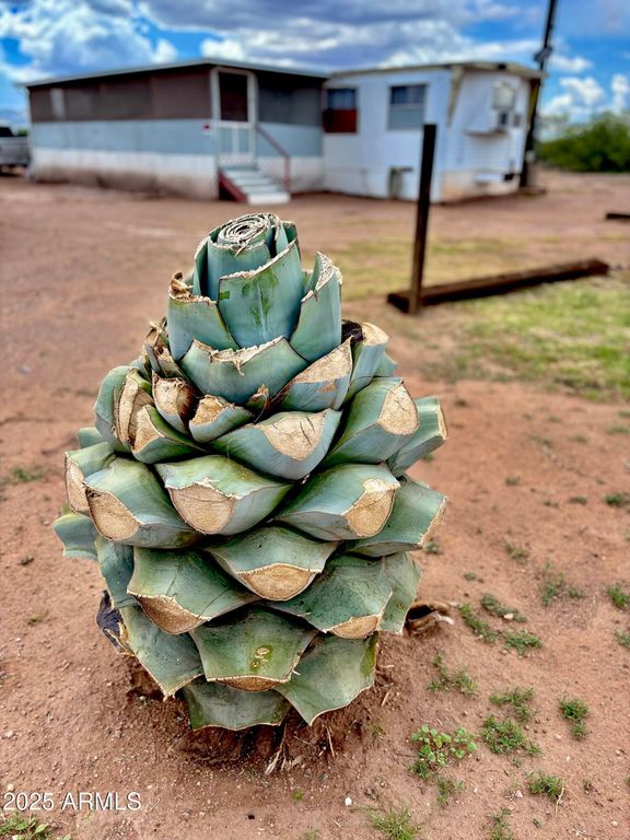 6910 N BLACKBERRY Place, Mcneal, AZ 85617