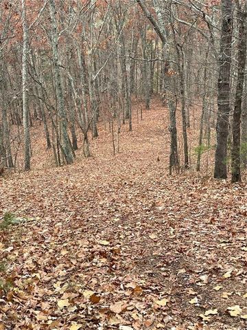 356 Orieole Court, Ranger, GA 30734