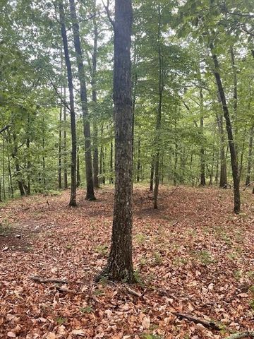 356 Orieole Court, Ranger, GA 30734
