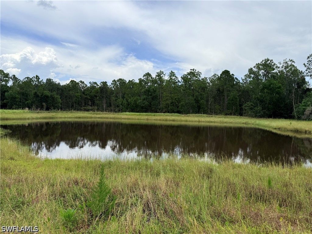 925 Purple Martin DR, Naples, FL 34120