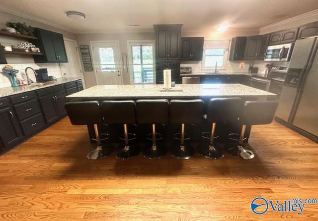 173 North Seneca Drive, Trinity, AL 35673