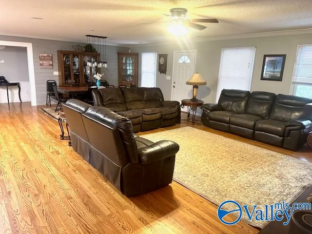 173 North Seneca Drive, Trinity, AL 35673